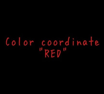 カラーコーデ『RED』
